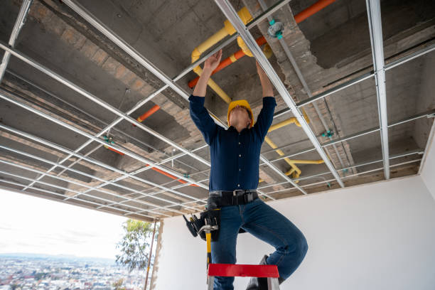 Best Plumbing Repair Near Me  in Leland Grove, IL