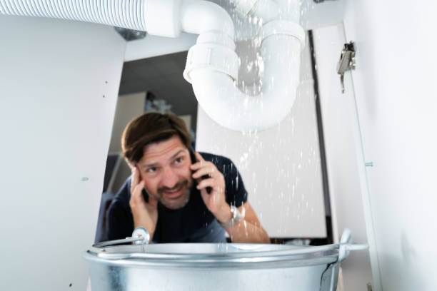 Best Shower Repair Services  in Leland Grove, IL