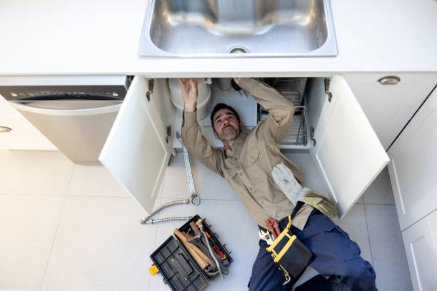 Best Leak Detection Services  in Leland Grove, IL