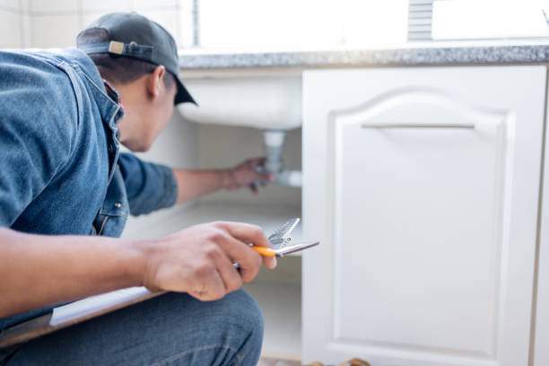 Best Plumbing Services Near Me  in Leland Grove, IL
