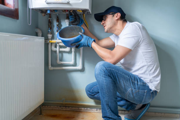 Best Affordable Plumbing Services  in Leland Grove, IL